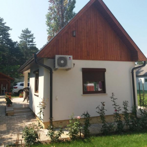 Little House with Garden Siófok, Siofok